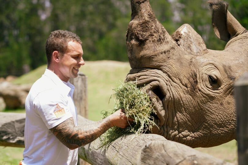 mogo-wildlife-park - Londoner In Sydney mogo-wildlife-park