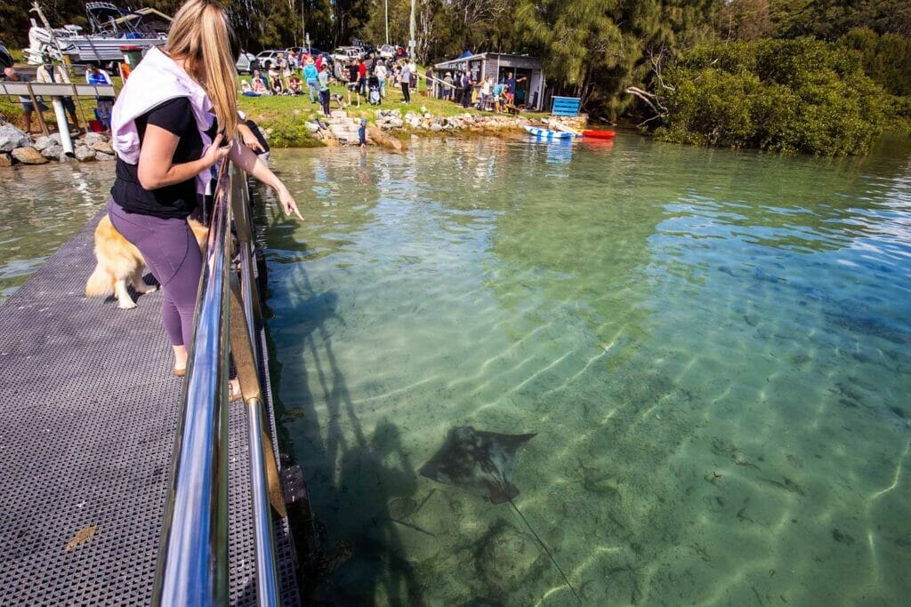 kayaking-batemans-bay