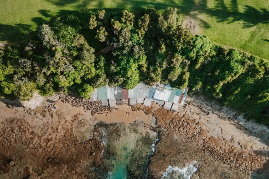sandon-point-boat-sheds - Londoner In Sydney sandon-point-boat-sheds