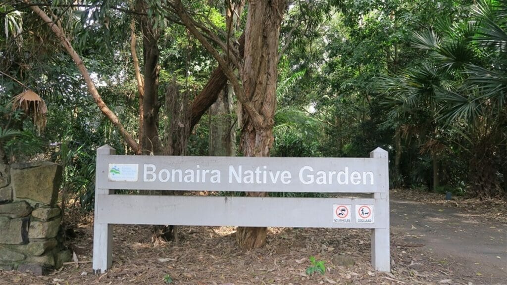 bonaira-native-garden-kiama - Londoner In Sydney bonaira-native-garden-kiama