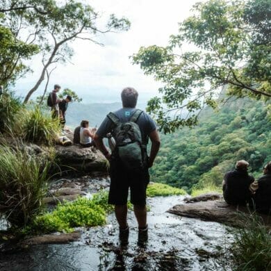 morans-falls-lamington-national-park