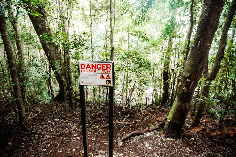 morans-falls-lamington-national-park