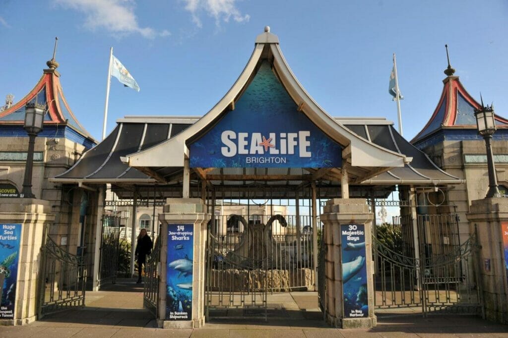 brighton-sea-life-centre - Londoner In Sydney brighton-sea-life-centre
