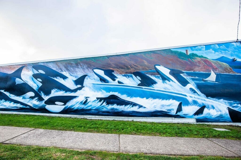 whale-festival-eden - Londoner In Sydney whale-festival-eden