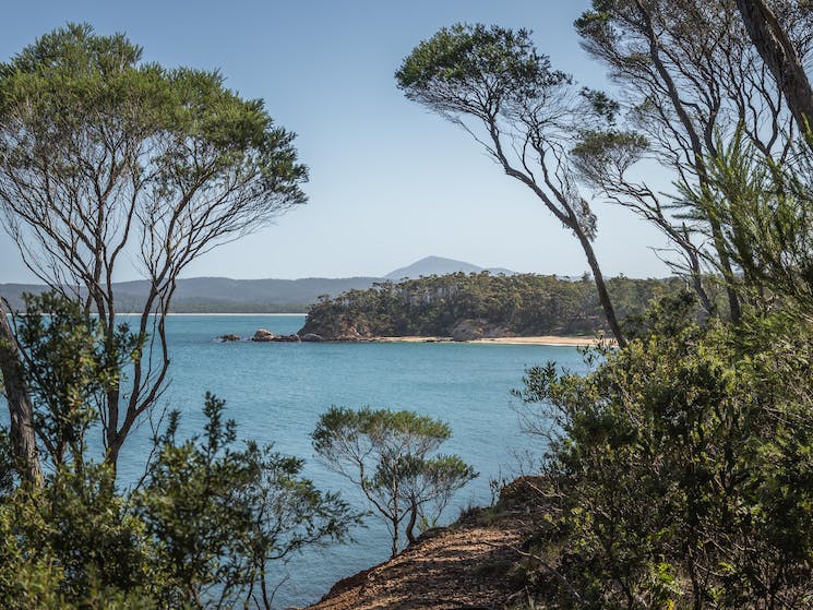 snorkelling-in-twofolds-bay-eden