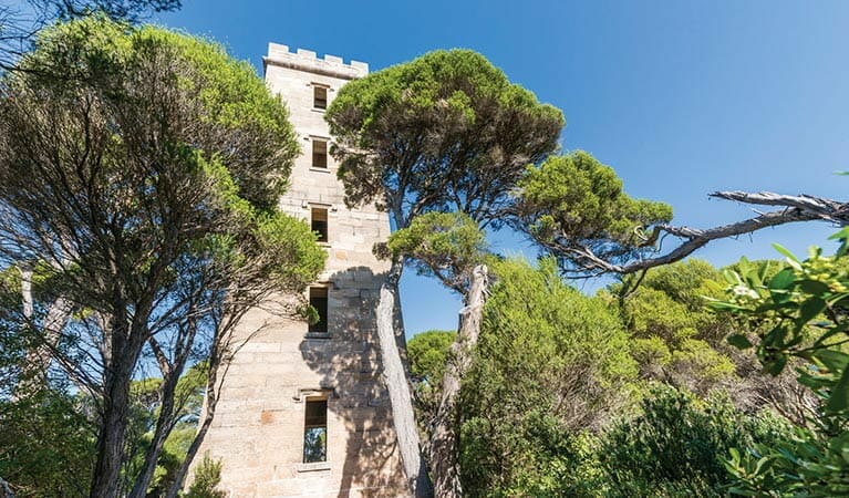 ben-boyd-tower-walking-track-01