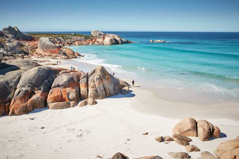 bay-of-fires-tasmania - Londoner In Sydney bay-of-fires-tasmania