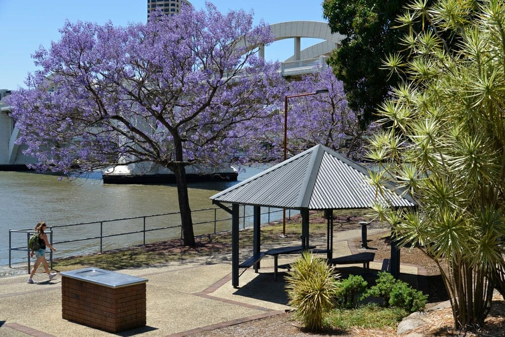 kurilpa-park-bbq-areas - Londoner In Sydney kurilpa-park-bbq-areas