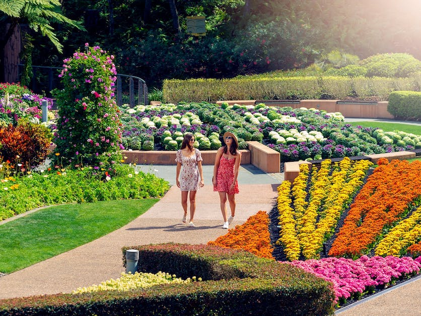 roma-street-parkland-free-things-to-do-in-brisbane