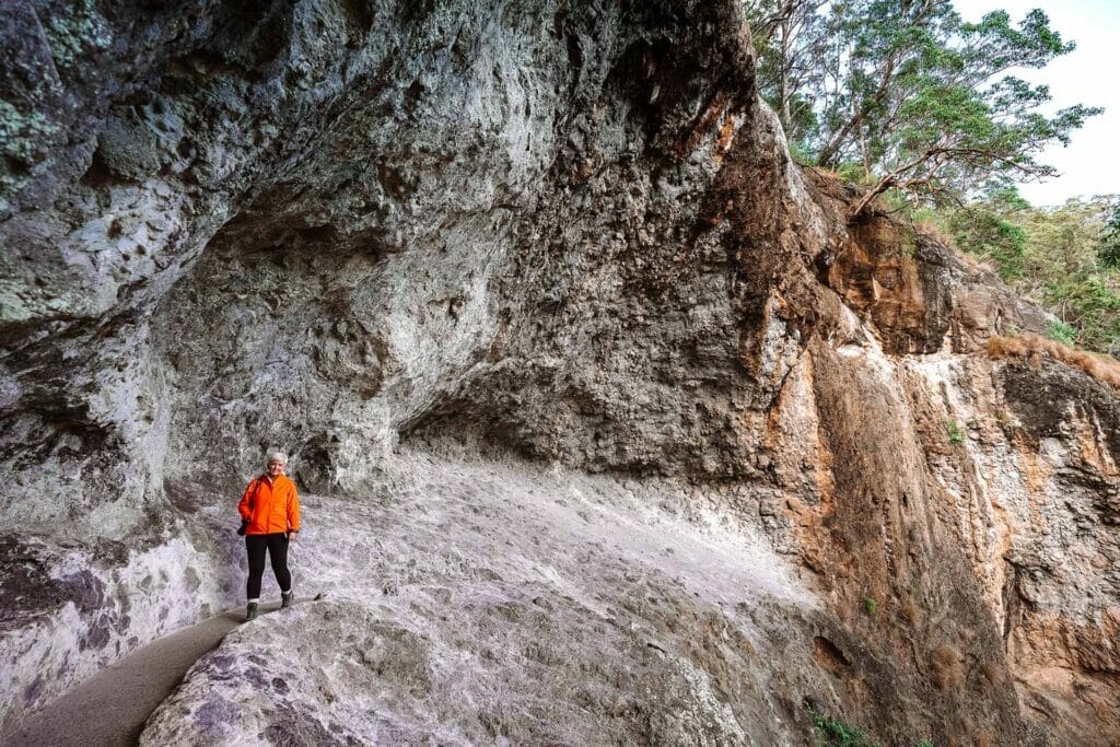 caves-circuit-lamington-national-park