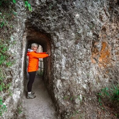 caves-circuit-lamington-national-park