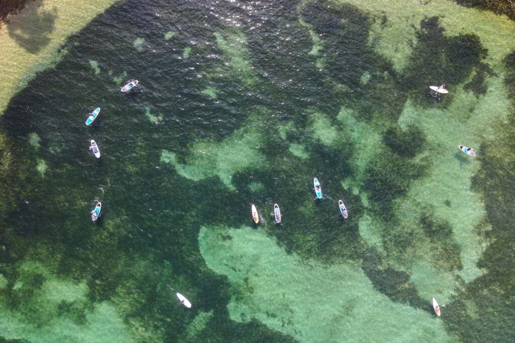 paddle-boarding-port-stephens