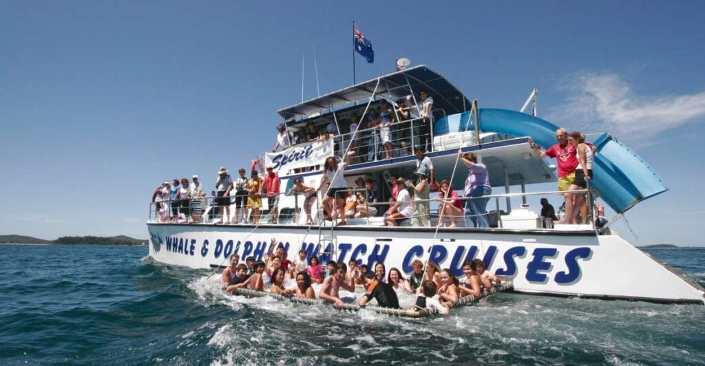 port-stephens-dolphin-watching-tour