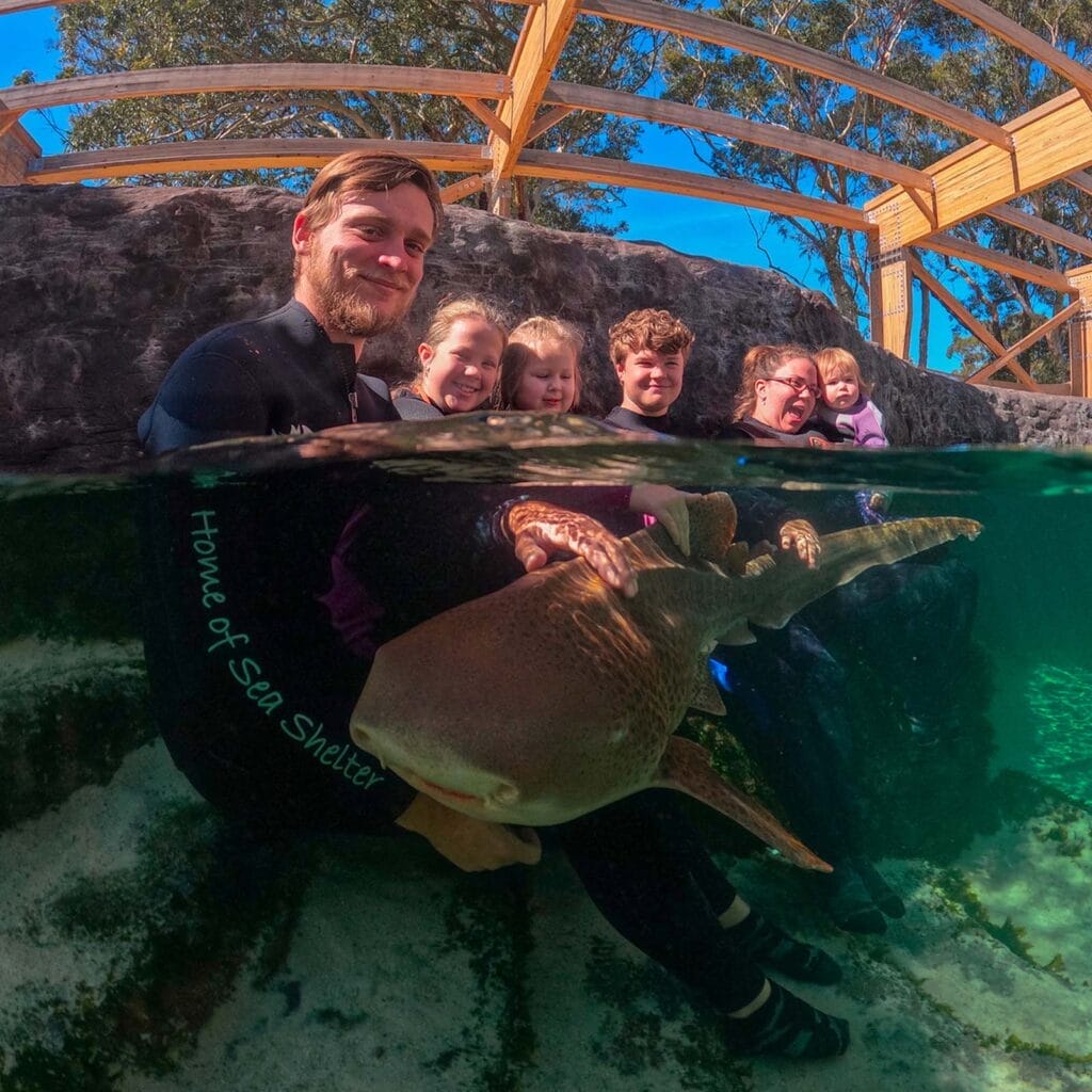 IRUKANDJI-shark-and-ray-encounters-port-stephens