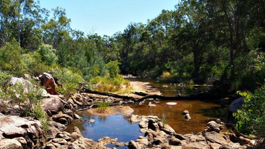 crows-nest-national-park