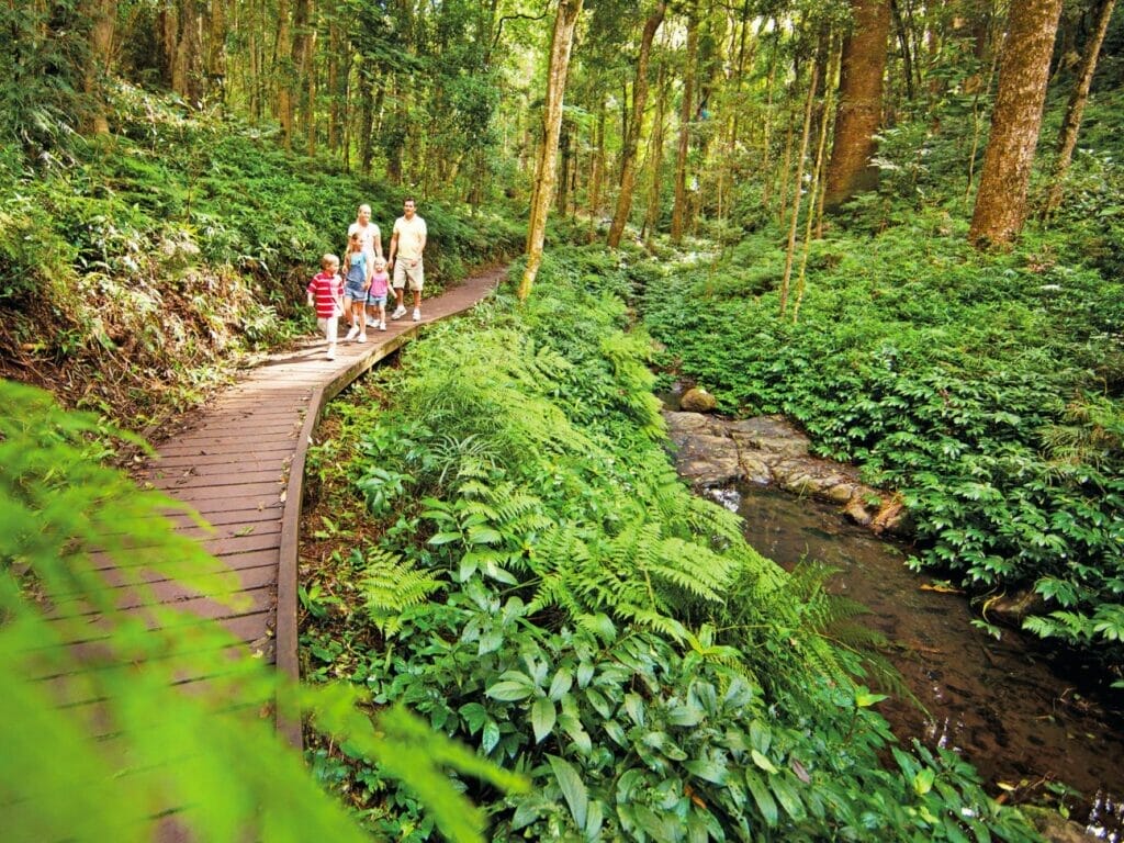 bunya-mountains-walks