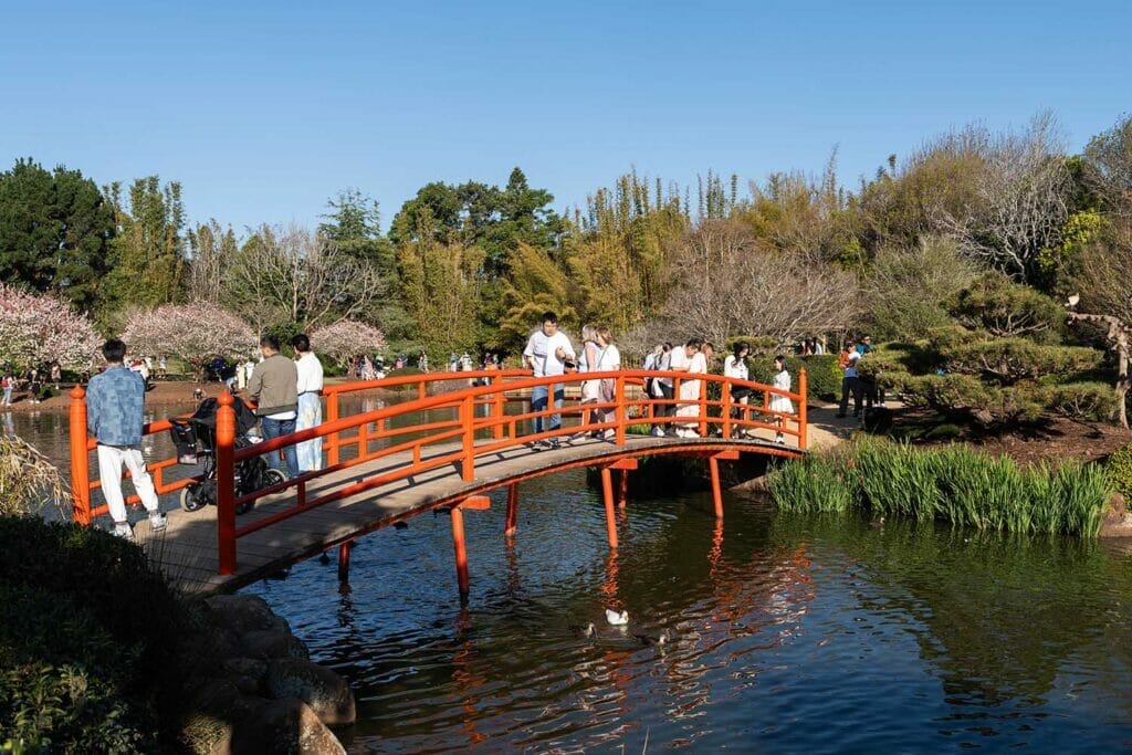 things-to-do-in-toowoomba-japanese-gardens