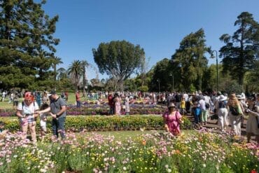 Toowoomba-carnival-of-flowers