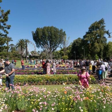 Toowoomba-carnival-of-flowers