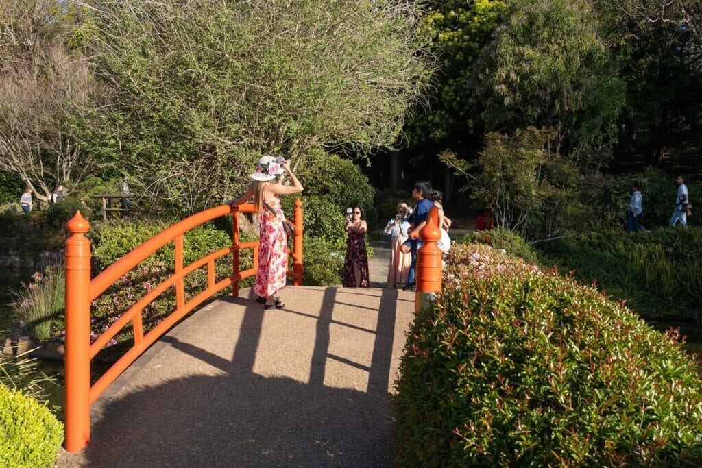 japanese-gardens-toowoomba