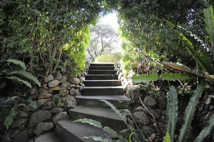 boyce-gardens-toowoomba