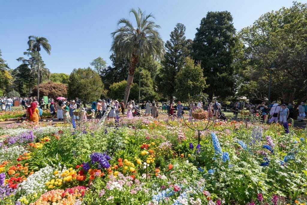 Toowoomba-carnival-of-flowers