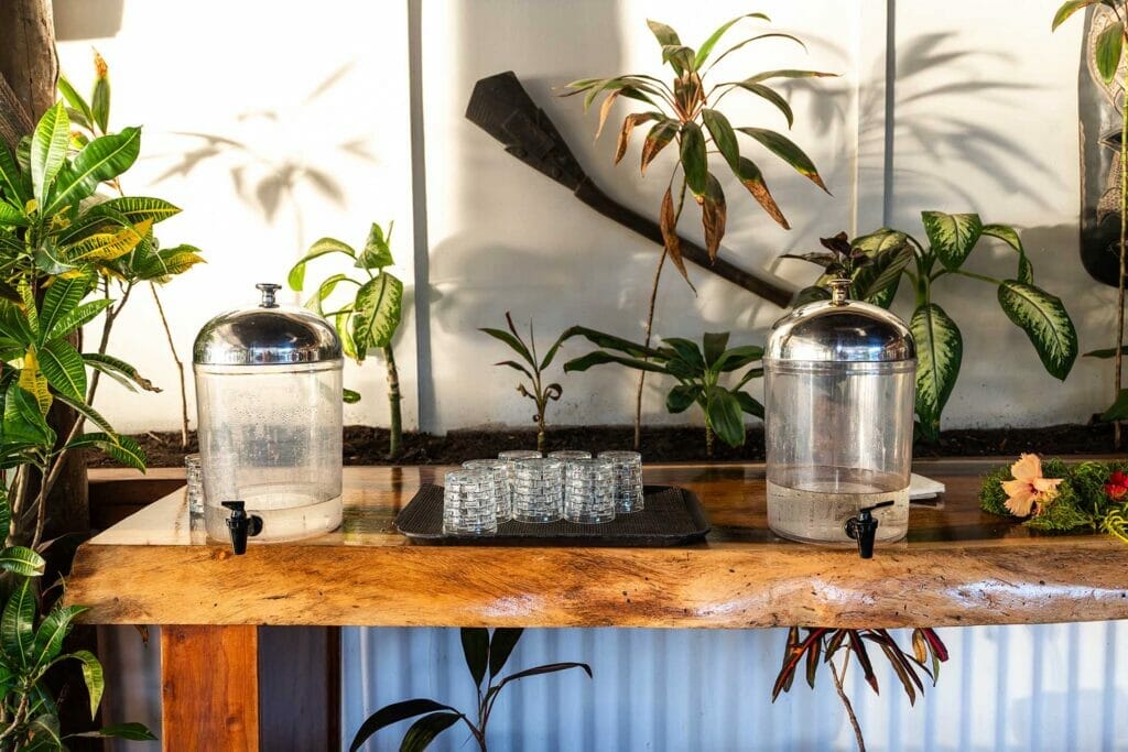 drinking-water-at-blue-lagoon-fiji