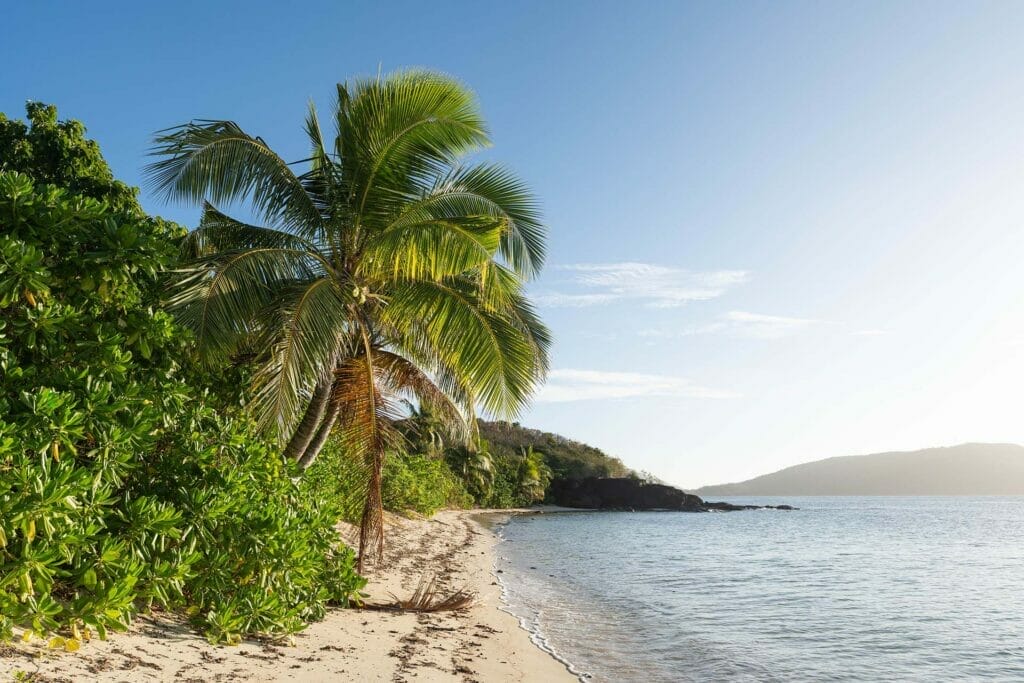 blue-lagoon-resort-fiji - Londoner In Sydney blue-lagoon-resort-fiji-empty-beach