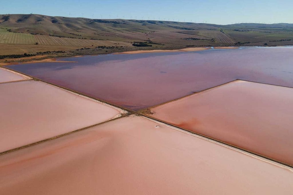 lake-Bumbunga-south-australia-pink-lake - Londoner In Sydney lake-Bumbunga-south-australia-pink-lake