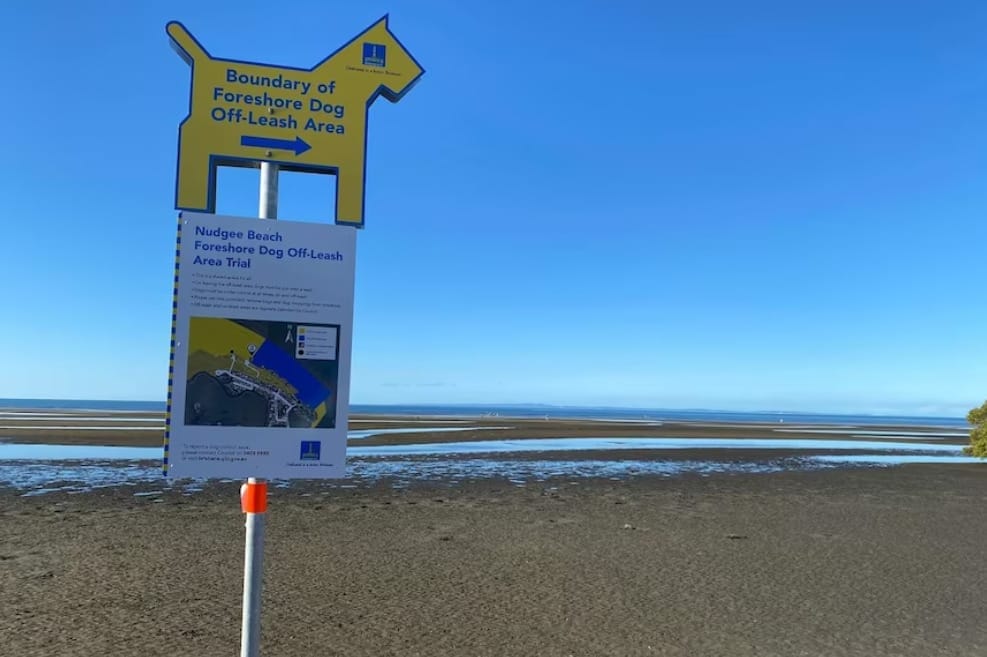 Dog-friendly Nudgee Beach