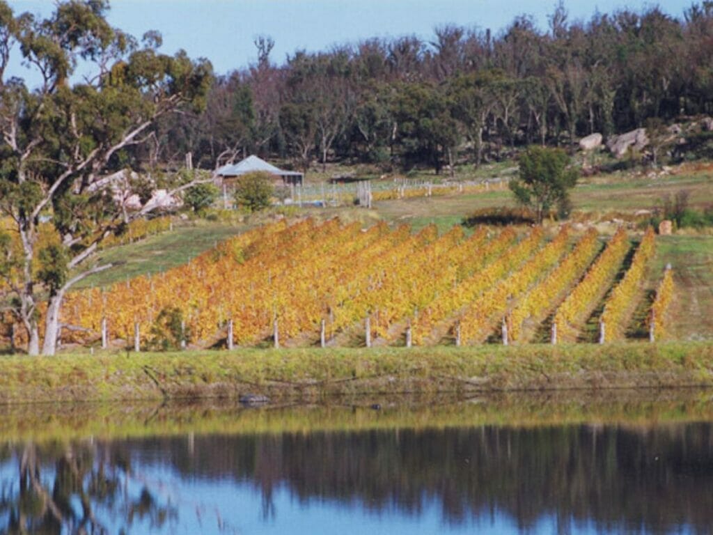 symphony-hill-wines - Londoner In Sydney symphony-hill-wines