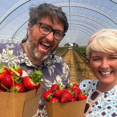 things-to-do-in-stanthorpe