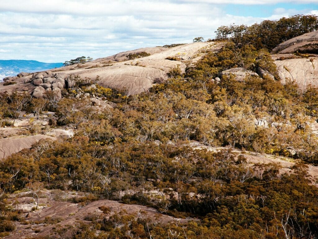 mt-norman-walk-girraween-national-park