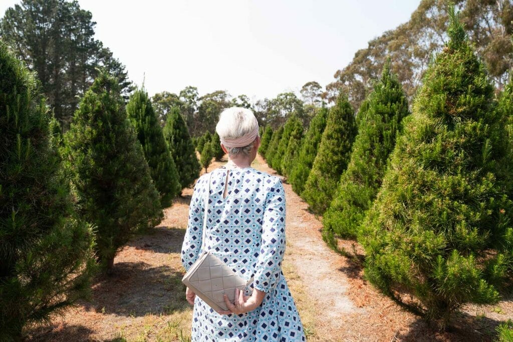 things-to-do-in-Stanthorpe-christmas-farm