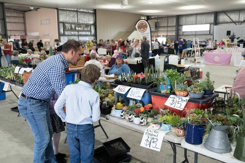 market-in-the-mountains