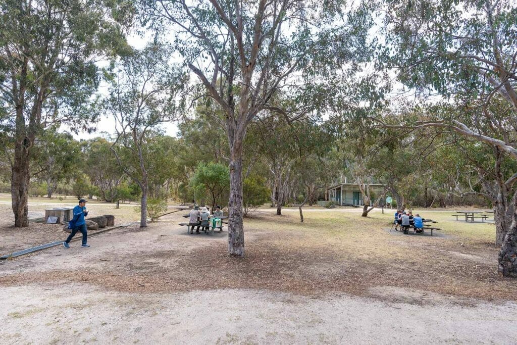 bald-creek-day-use-area-girraween-national-park