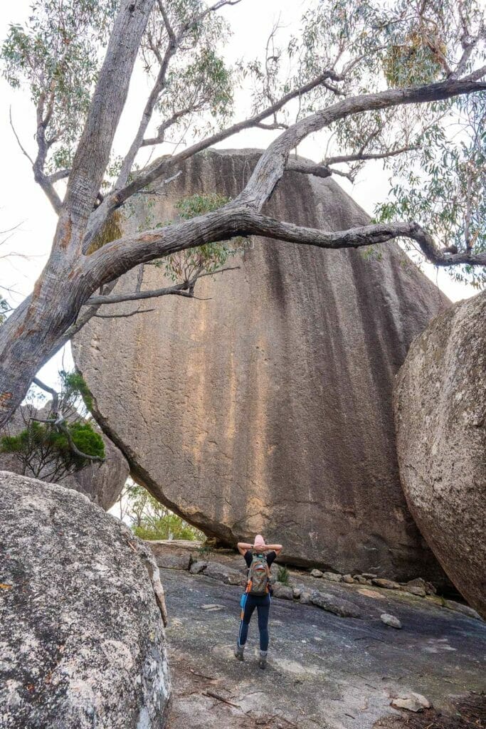 the-sphinx-turtle-rock-girraween-national-park