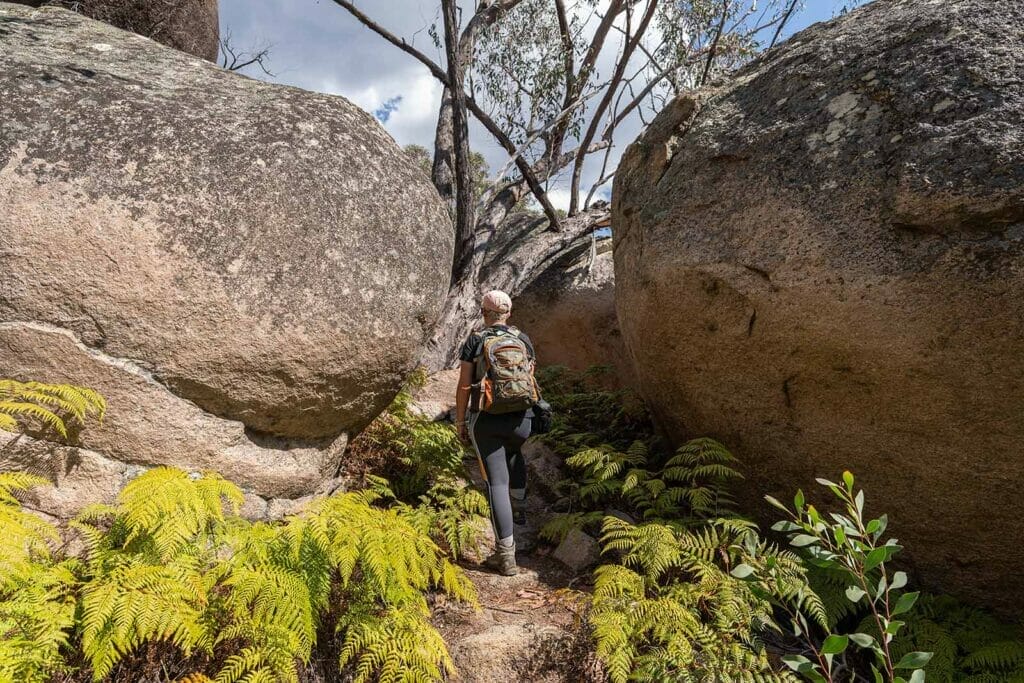 the-sphinx-turtle-rock-girraween-national-park