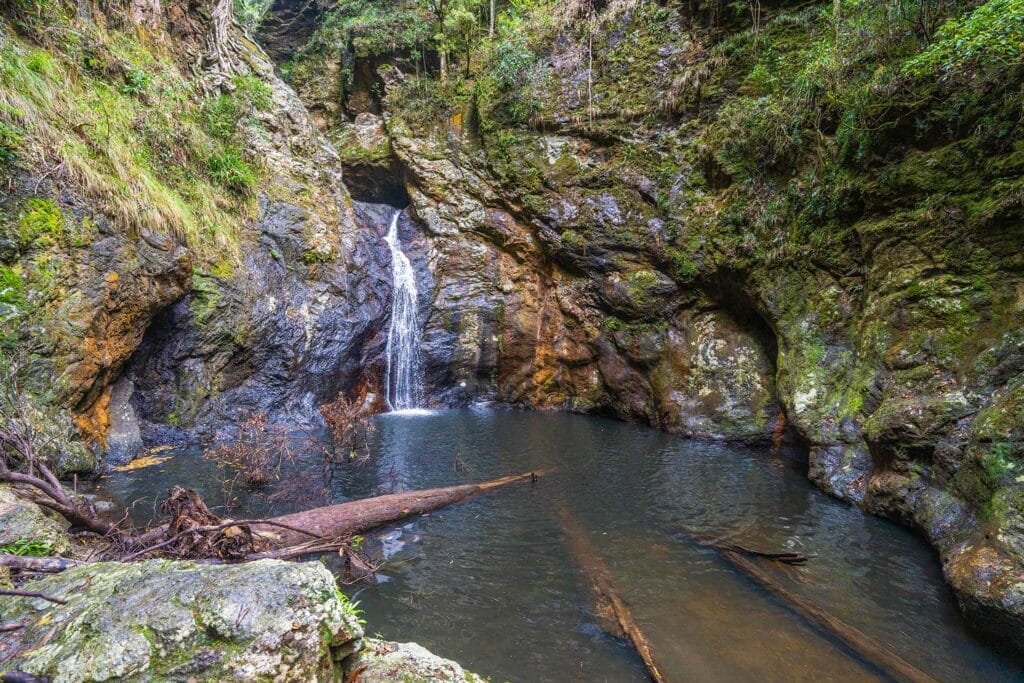 Gorge-Falls-In-Tallebudgera-valley