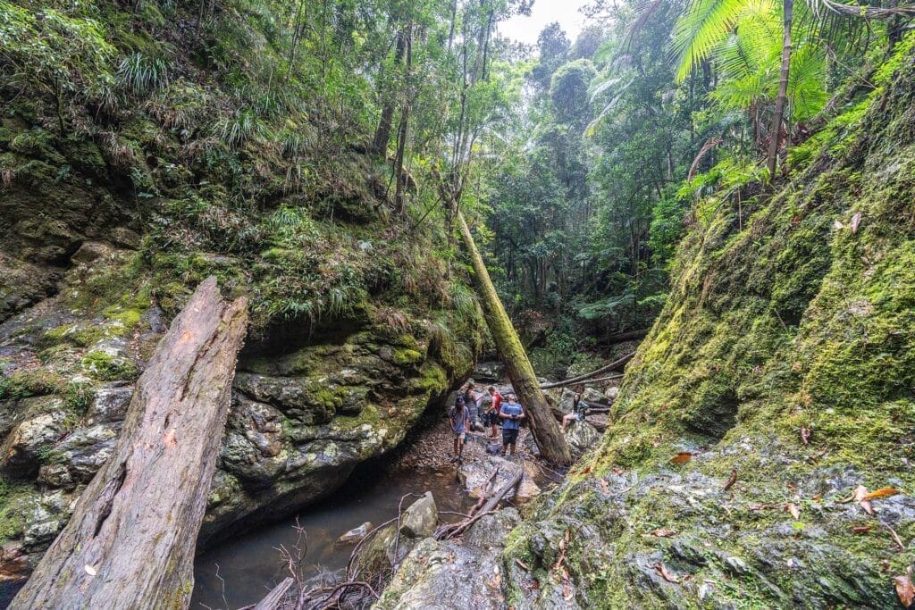 Gorge-Falls-In-Tallebudgera-valley - Londoner In Sydney Gorge-Falls-In-Tallebudgera-valley