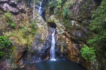 Gorge-Falls-In-Tallebudgera-valley