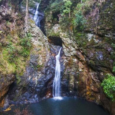 Gorge-Falls-In-Tallebudgera-valley
