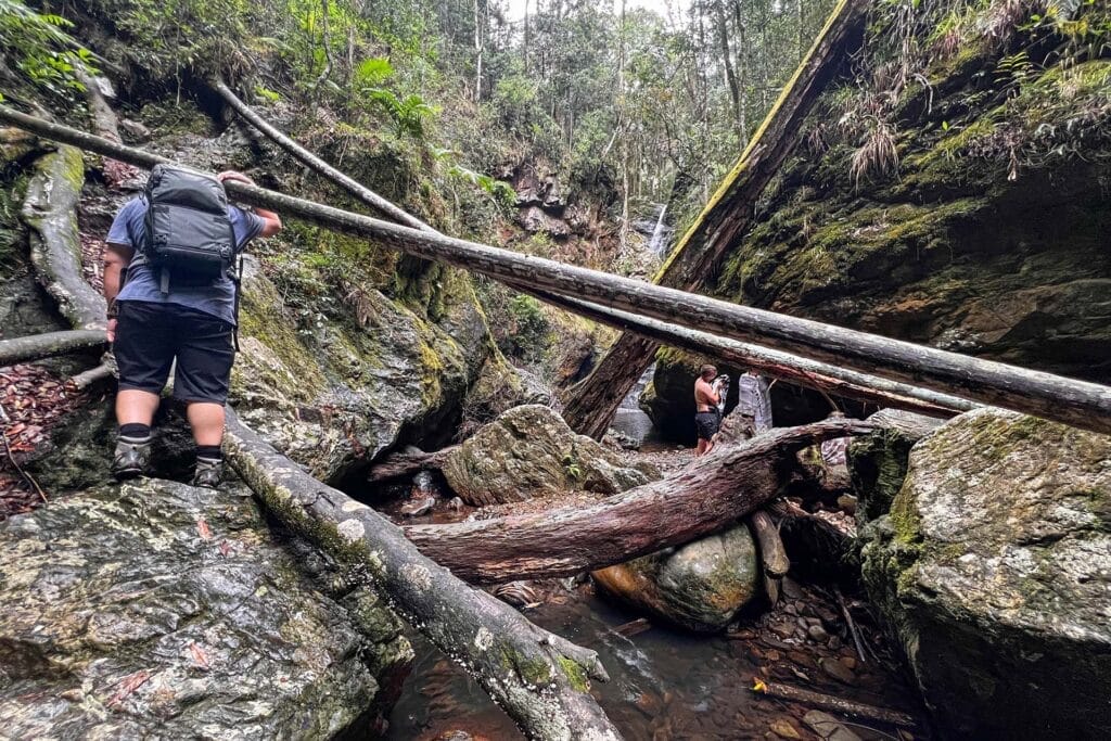 Gorge-Falls-In-Tallebudgera-valley