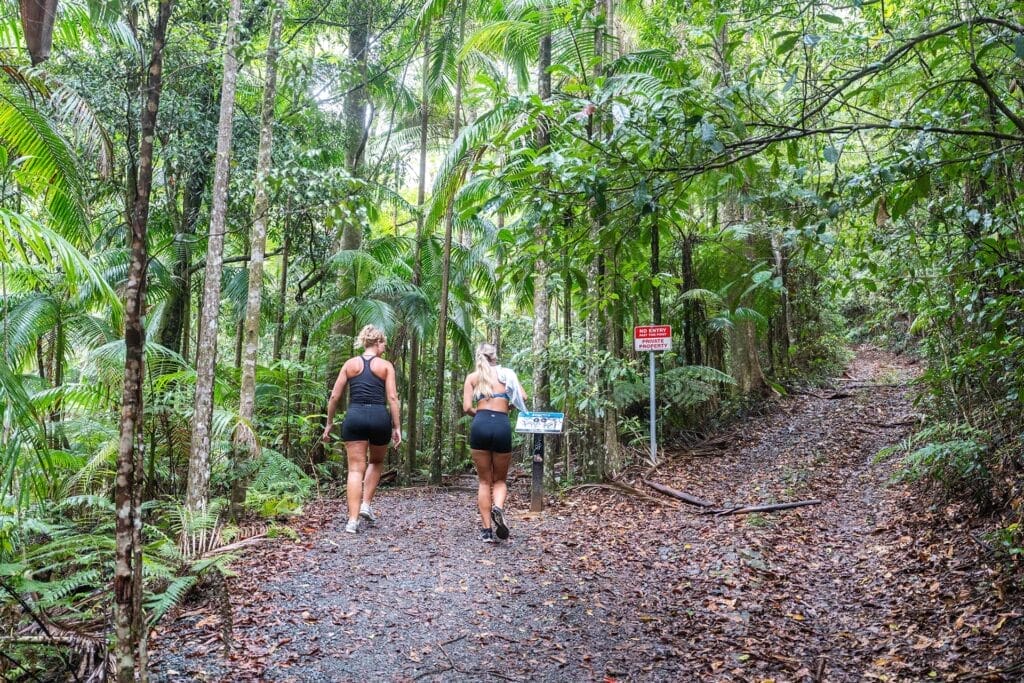 Gorge-Falls-In-Tallebudgera-valley - Londoner In Sydney Gorge-Falls-In-Tallebudgera-valley