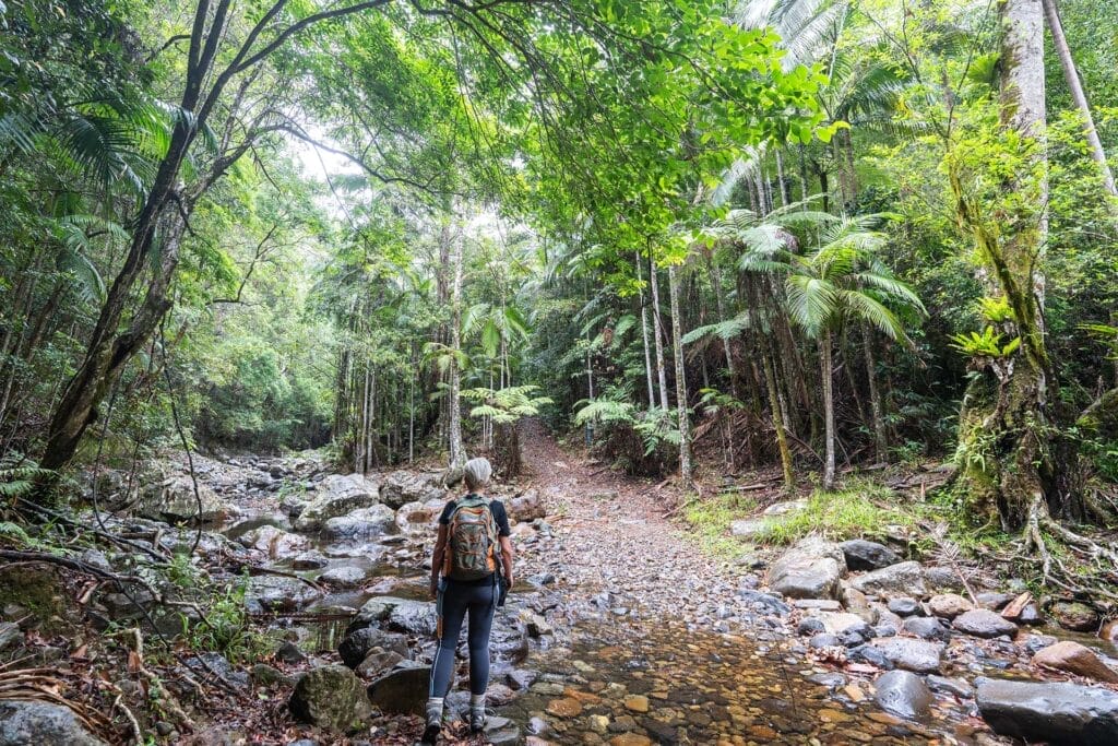 Gorge-Falls-In-Tallebudgera-valley - Londoner In Sydney Gorge-Falls-In-Tallebudgera-valley
