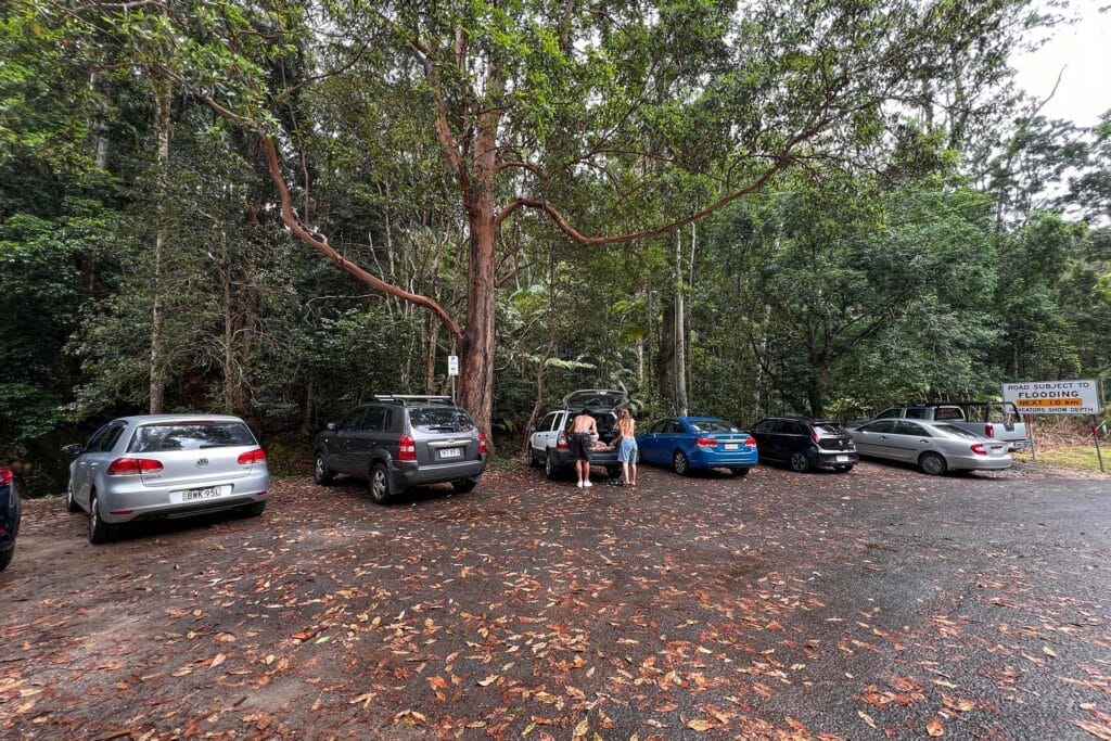 Gorge-Falls-In-Tallebudgera-valley