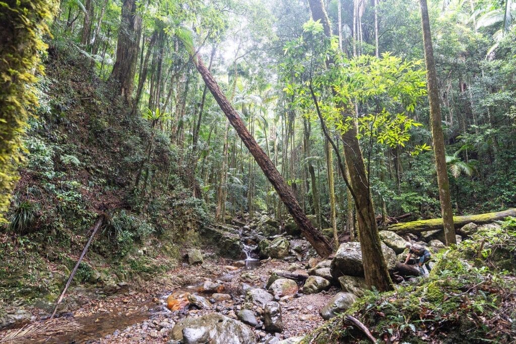 gorge-falls-tallebudgera-valley - Londoner In Sydney gorge-falls-tallebudgera-valley