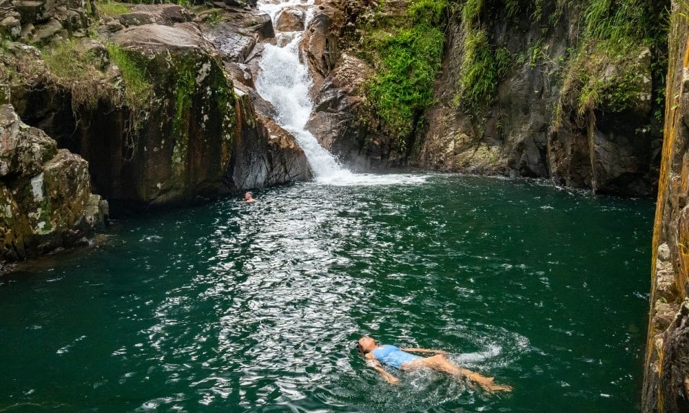 finch-hatton-gorge-whitsundays-day-trips - Londoner In Sydney finch-hatton-gorge-whitsundays-day-trips
