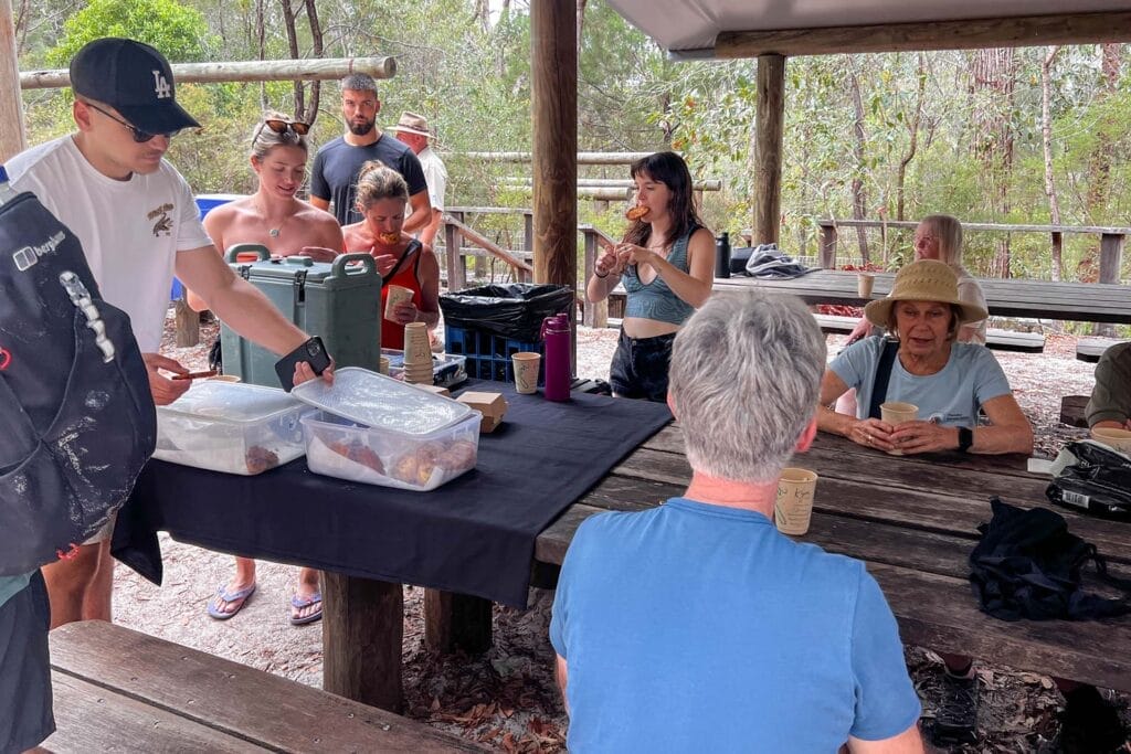 lake-mckenzie-picnic-tables