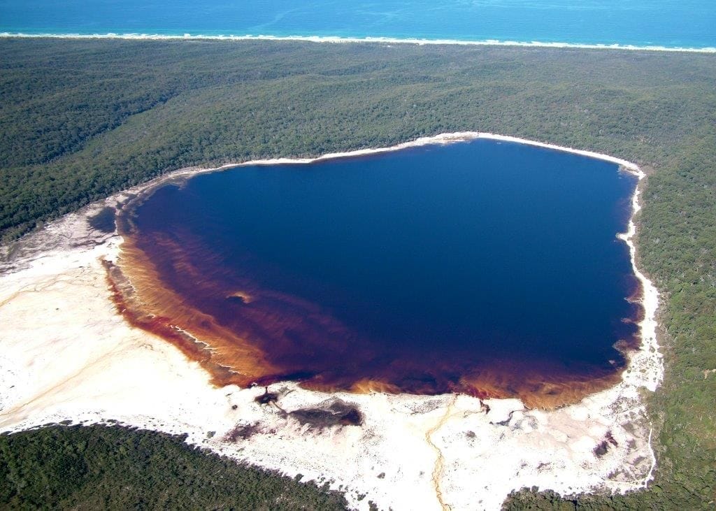 Lake-Boomanjin-fraser-island - Londoner In Sydney Lake-Boomanjin-fraser-island